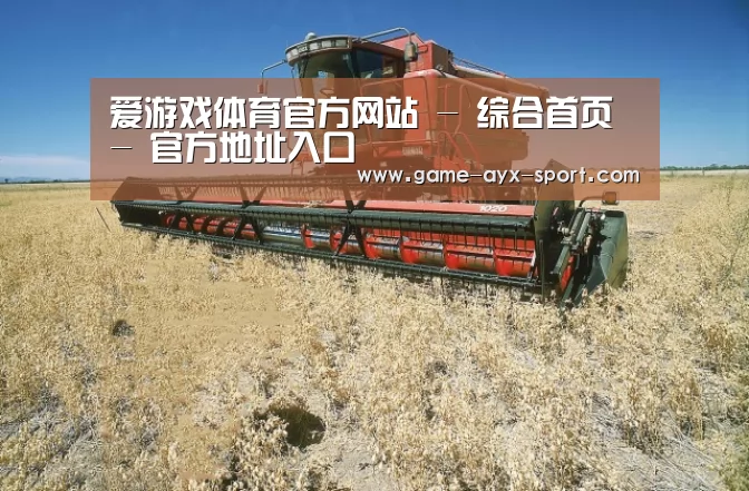 产品名称三
