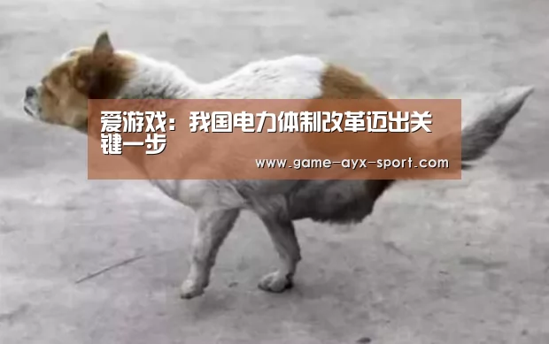 爱游戏:我国电力体制改革迈出关键一步(图2) 爱游戏