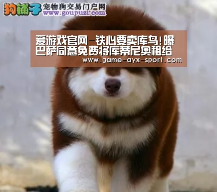 爱游戏官网-铁心要卖库鸟!曝巴萨同意免费将库蒂尼奥租给拜仁(图2) 爱游戏
