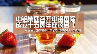 中铝集团召开中铝国际成立十五周年座谈会【爱游戏体育】(图3) 爱游戏首页