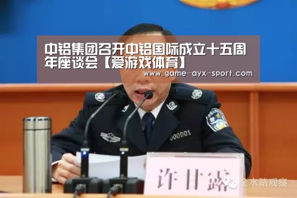 中铝集团召开中铝国际成立十五周年座谈会【爱游戏体育】(图1) 爱游戏官网
