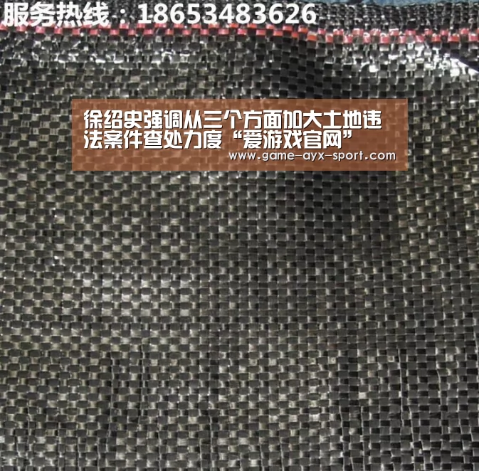 爱游戏