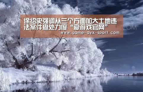 爱游戏