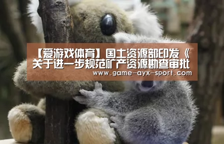【爱游戏体育】国土资源部印发《关于进一步规范矿产资源勘查审批登记管理的通知》(图3) 爱游戏体育