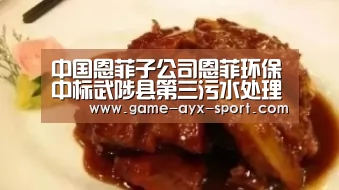 中国恩菲子公司恩菲环保中标武陟县第三污水处理厂项目|爱游戏首页(图1) 爱游戏官网