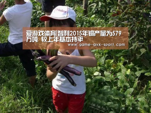 爱游戏体育|智利2015年铜产量为579万吨 较上年基本持平(图2) 爱游戏官网