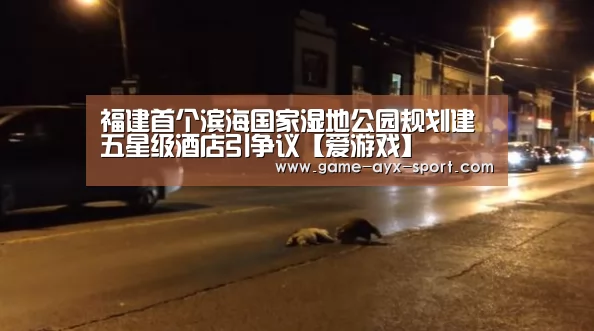 爱游戏