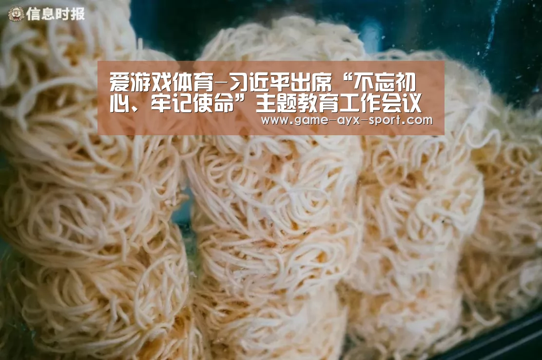 爱游戏体育-习近平出席“不忘初心、牢记使命”主题教育工作会议并发表重要讲话(图2) 爱游戏