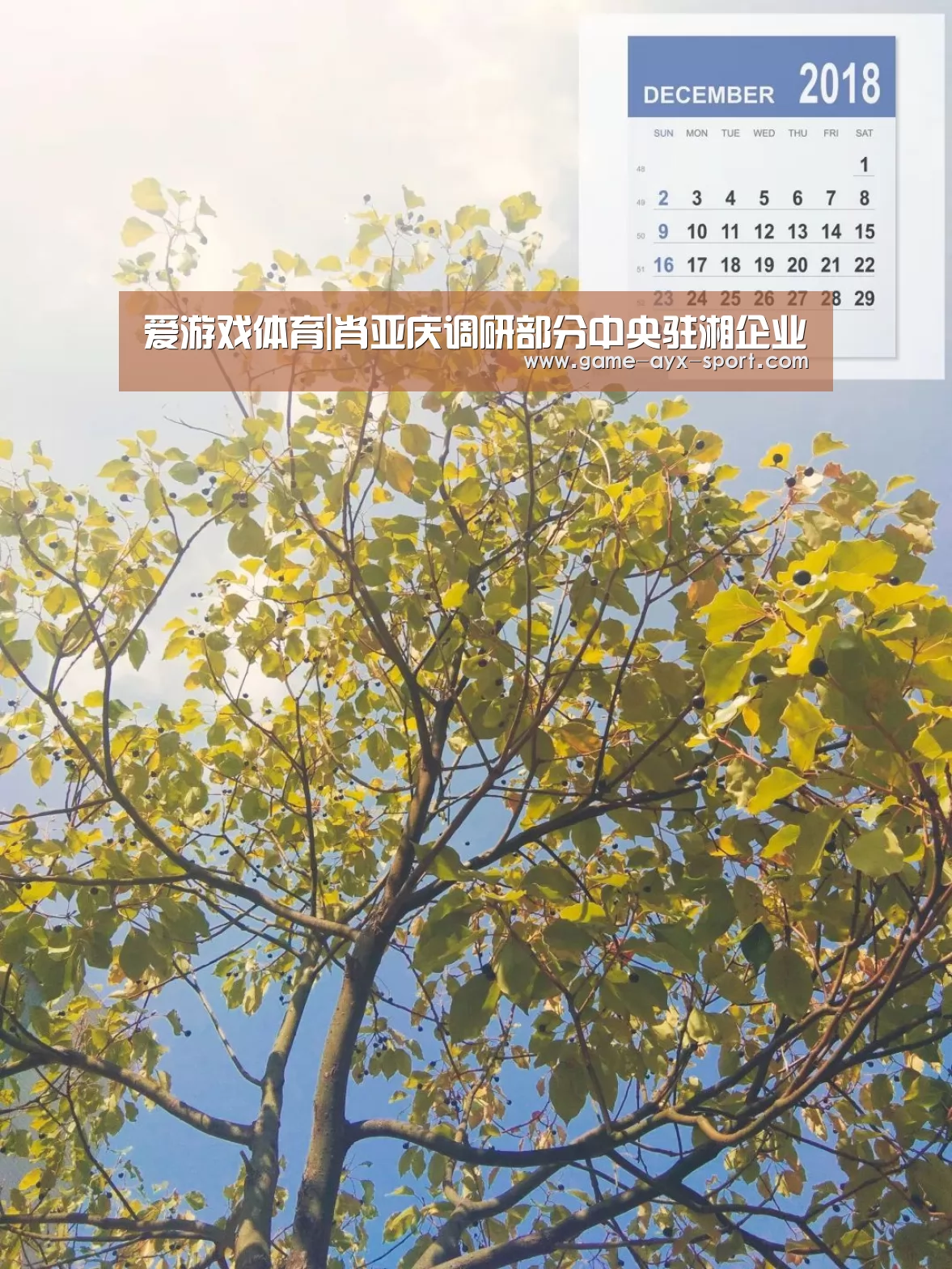 爱游戏体育|肖亚庆调研部分中央驻湘企业(图2) 爱游戏官网